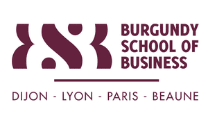 Logo BSB