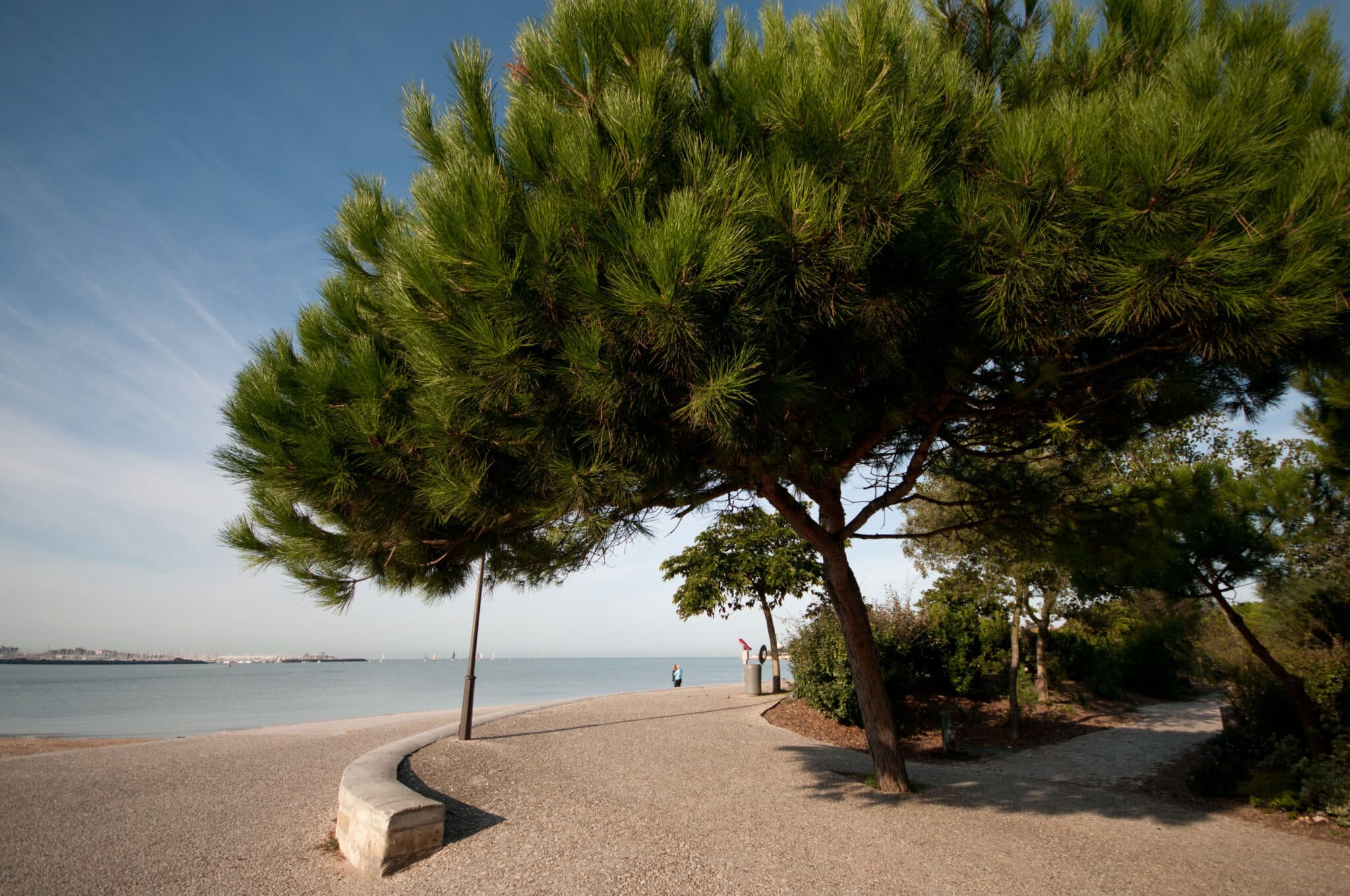 Dans le top 20 des stations balnéaires françaises, combien La Rochelle compte-t-elle de plages ?