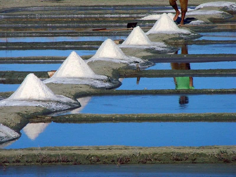 Question gastronomie : quelle est la spécialité culinaire de l'île de Ré ?