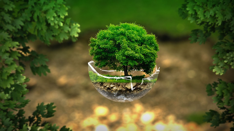 Par quel pays a été organisée la COP23 ?