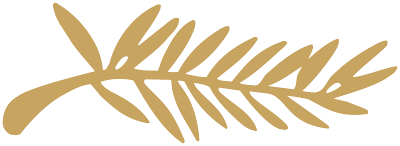 Combien de femmes réalisatrices ont monté les marches de Cannes depuis la création du Festival ? 