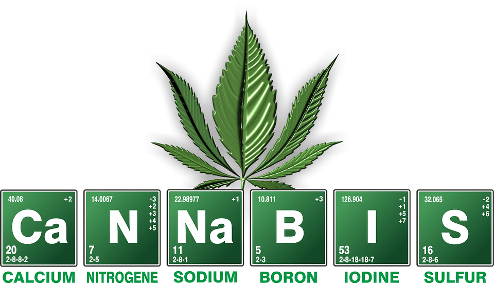 Dans quel pays le cannabis a-t-il été légalisé ?