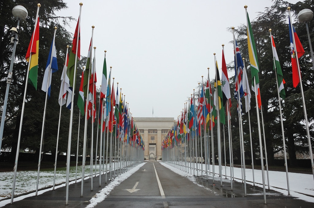 Qui a démissioné à l'ONU ?