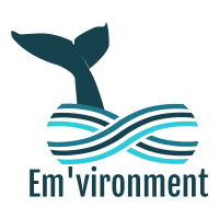 EM'VIRONMENT