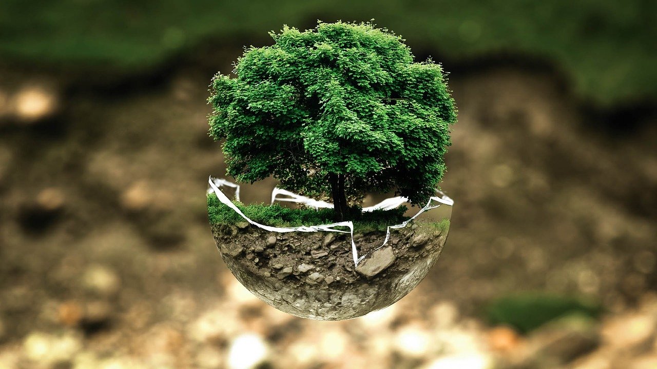 La COP26 a lieu à : 