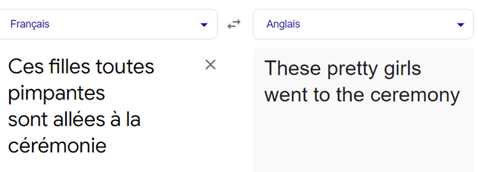 Extrait Google Translate