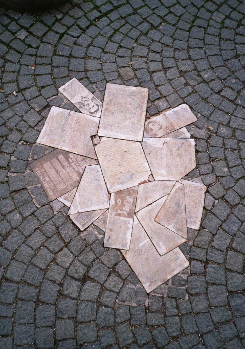 Recomposition des tracts devant l'université de Munich