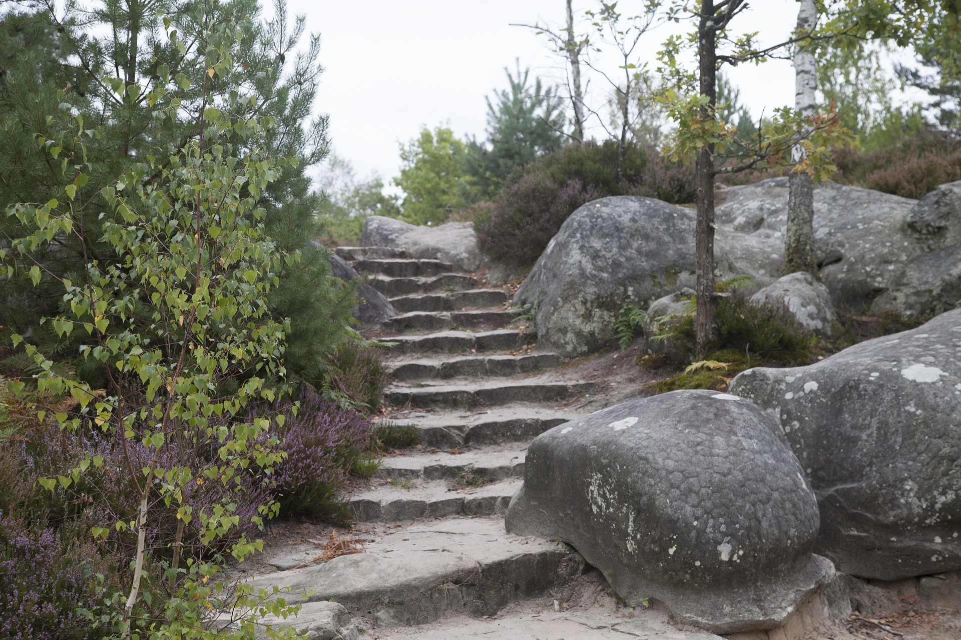 Fontainebleau