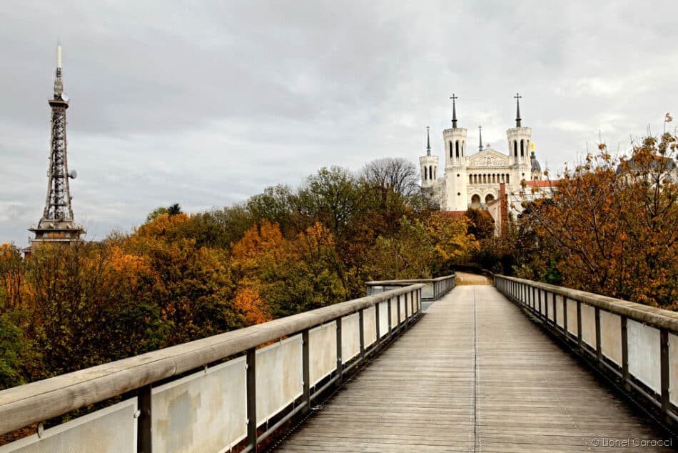 Lyon