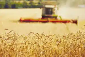 agriculture
