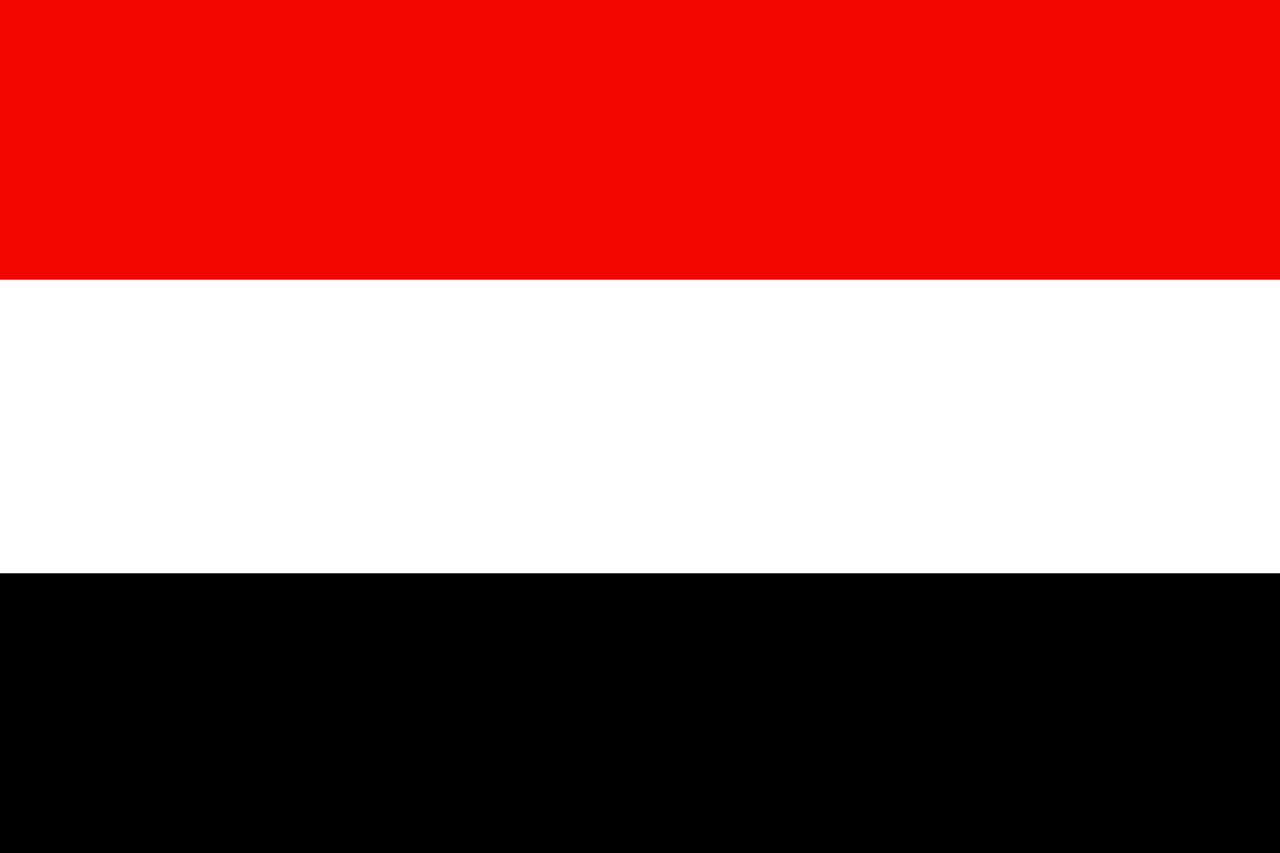 De quel pays proviennent les rebelles houthistes ?