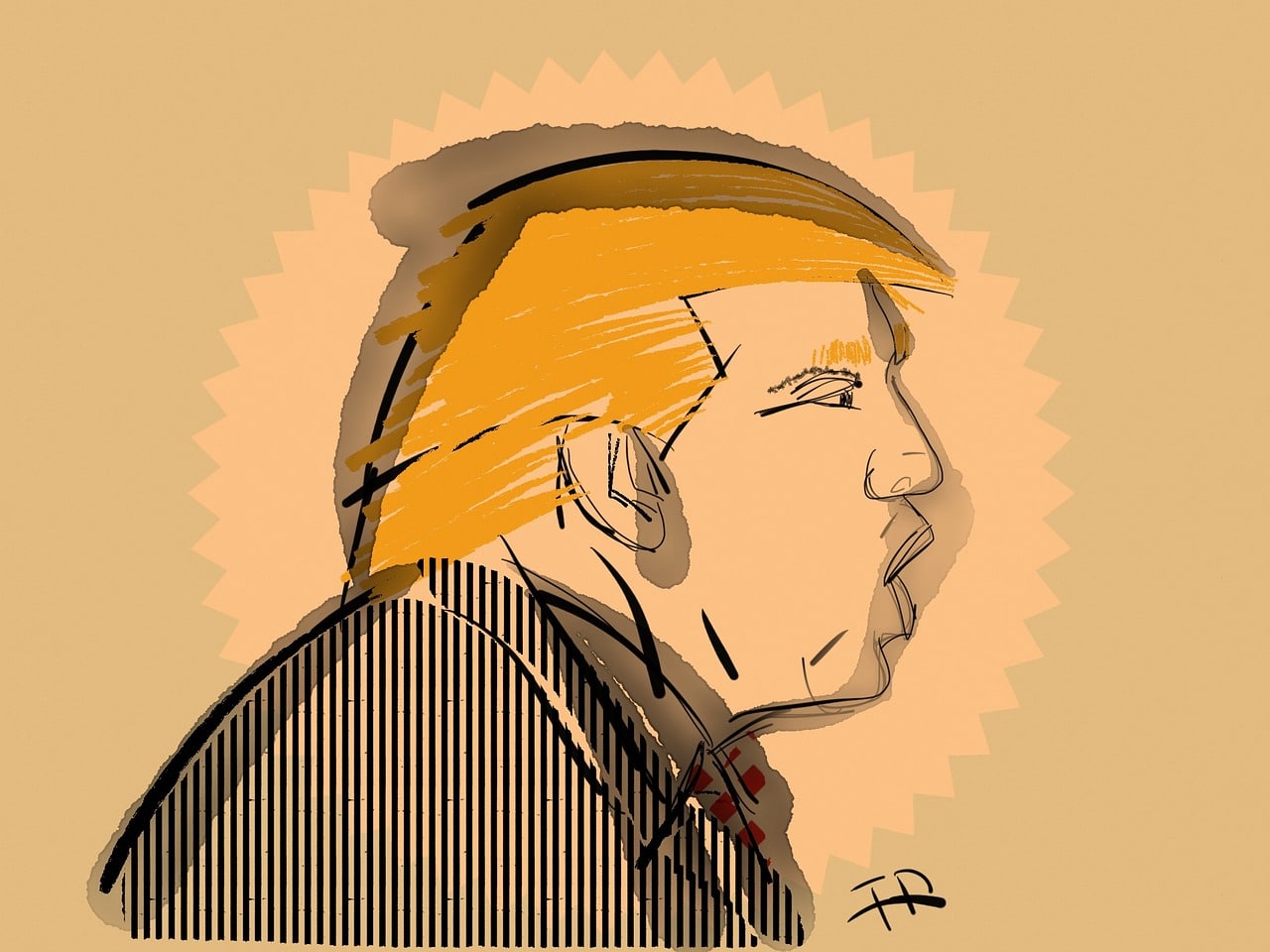 Que stipule l'article 5 de l'OTAN remis en question par Donald Trump ? 