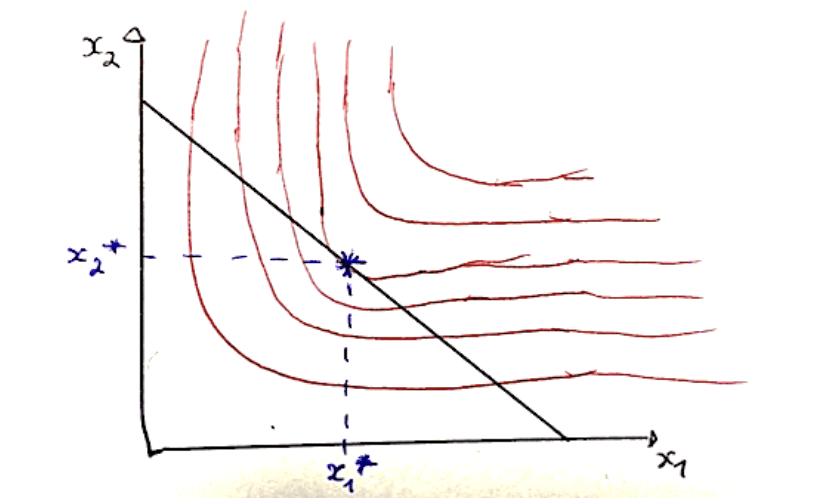 équilibre consommateur